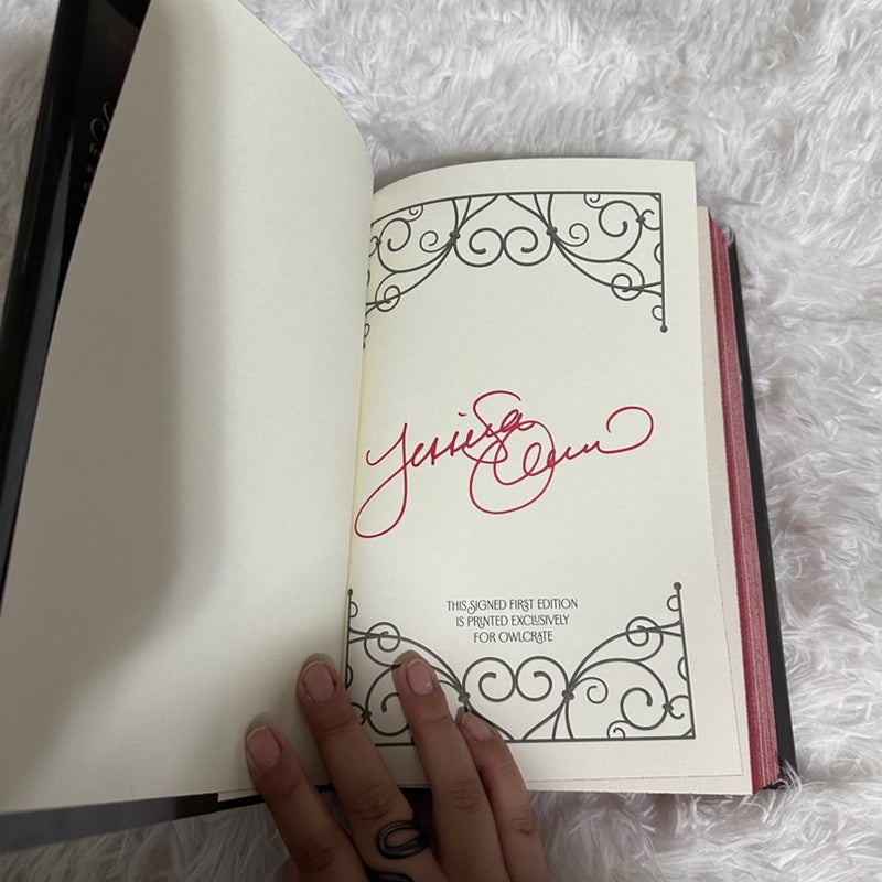 A Forgery of Roses | Owlcrate