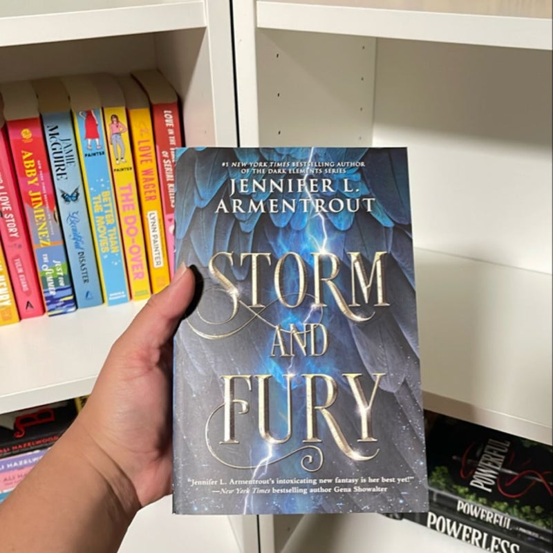 Storm and Fury
