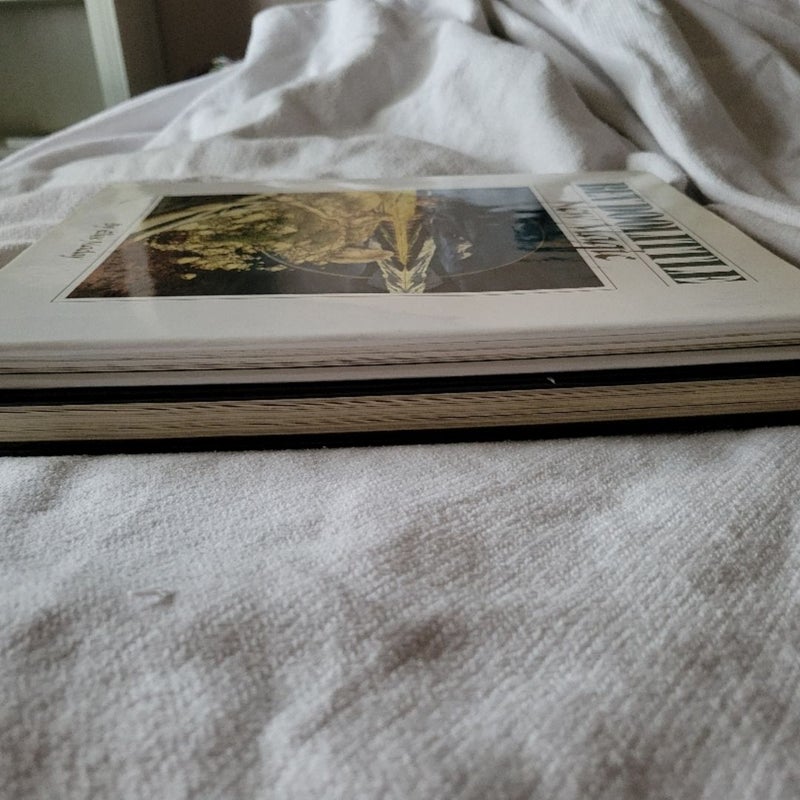 The Art of Bev Doolittle and New Magic
