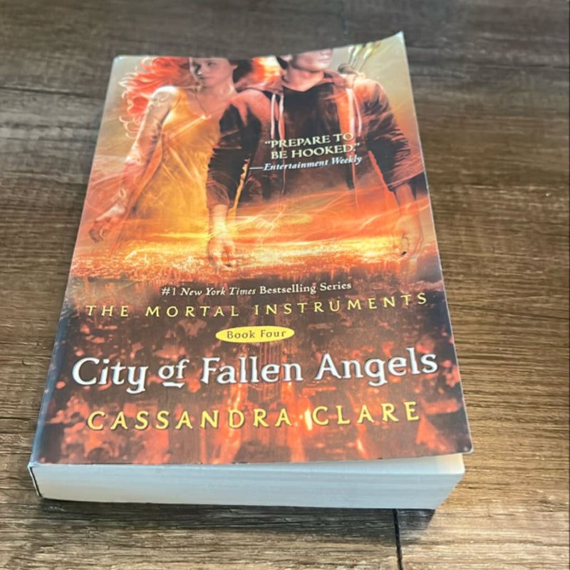 City of Fallen Angels