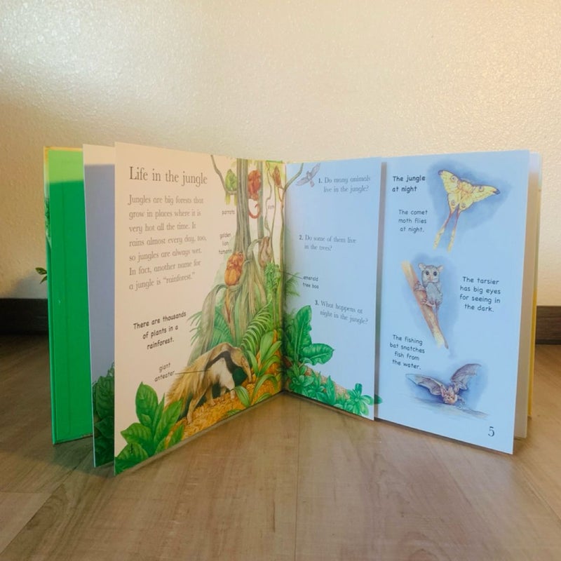 Flip the Flaps: Jungle Animals