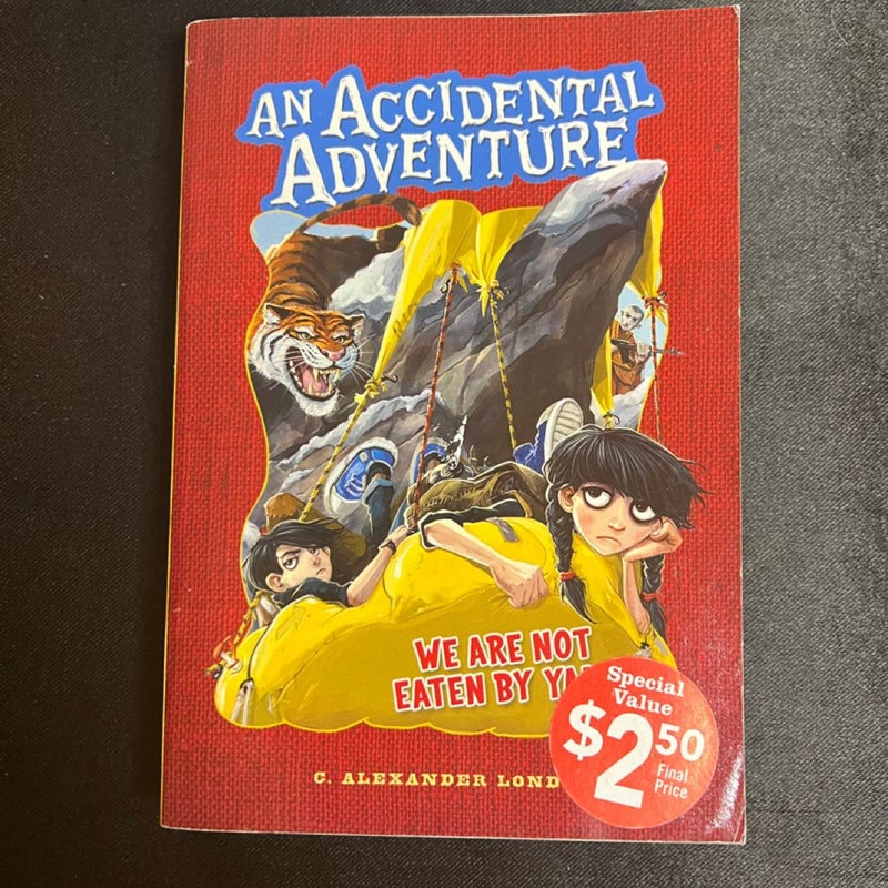 The Accidental Adventure