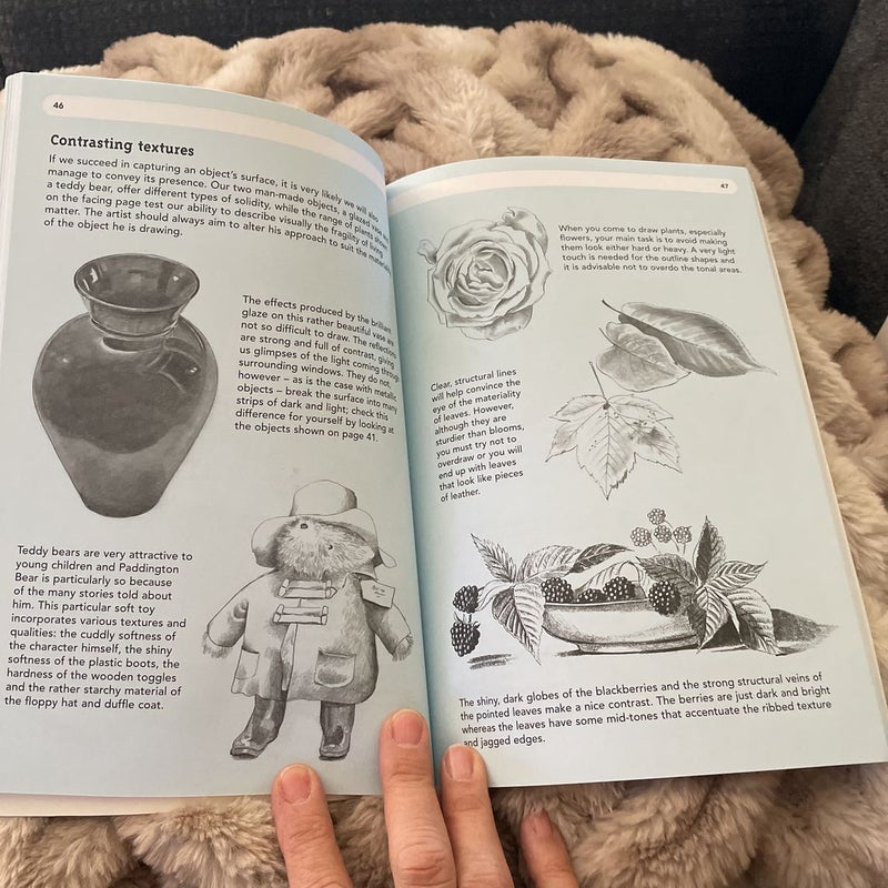 Drawing Still Life