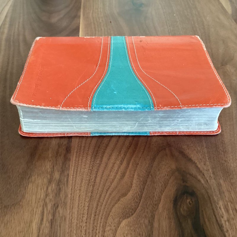 NIV Student Bible