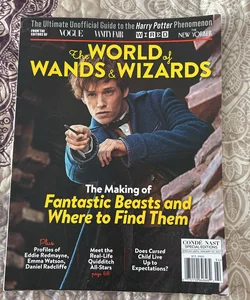 The world of wands & wizards