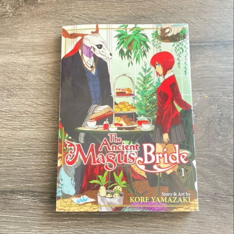 The Ancient Magus' Bride Vol. 1