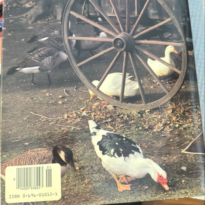 American Patchwork & Quilting