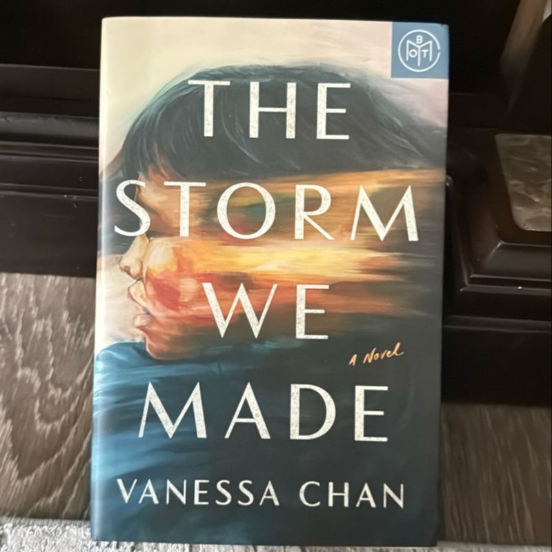 The Storm We Made