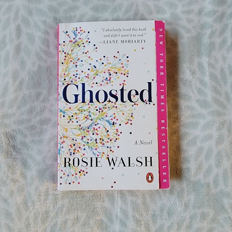 Ghosted by Rosie Walsh Paperback Novel Book