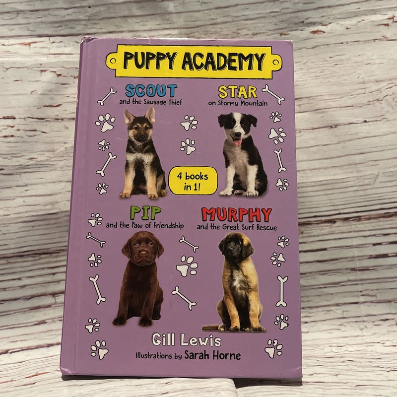 Puppy Academy Bindup Books 1-4: Scout and the Sausage Thief, Star on Stormy Mountain, Pip and the Paw of Friendship, Murphy and the Great Surf Rescue