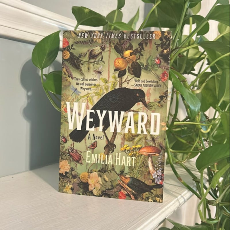 Weyward