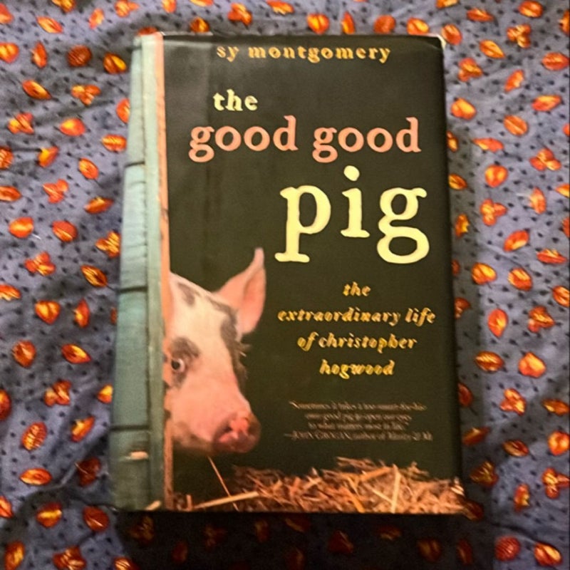 The Good Good Pig