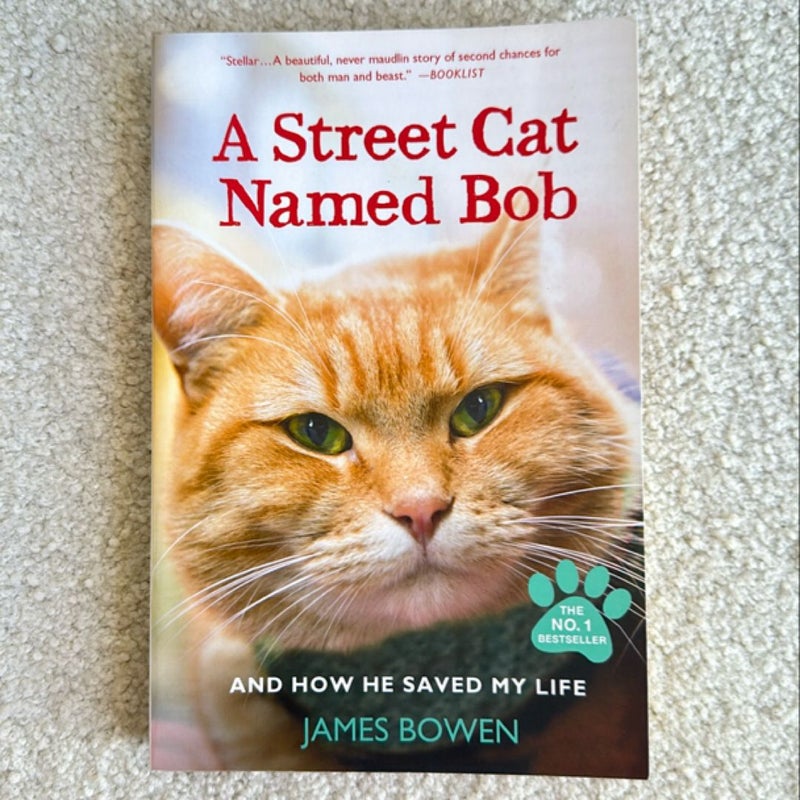 A Street Cat Named Bob