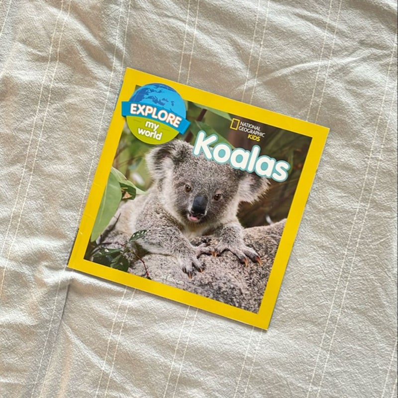 Explore My World Koalas