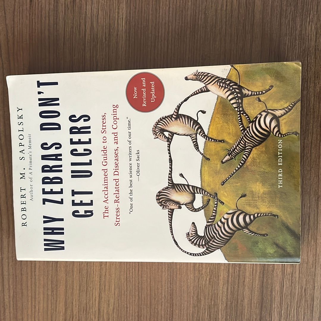 Sale image for 89502d3e-d135-42c5-89a5-882408837f78-wKckcGU3NzgsvX6q5V1eY9jWkgH3