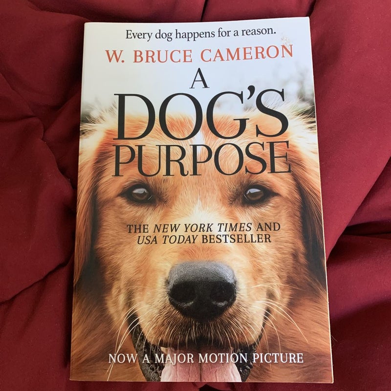 A Dog's Purpose