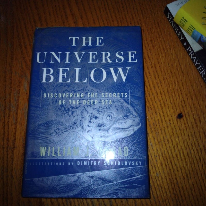 The Universe Below