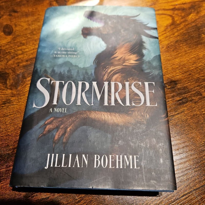 Stormrise