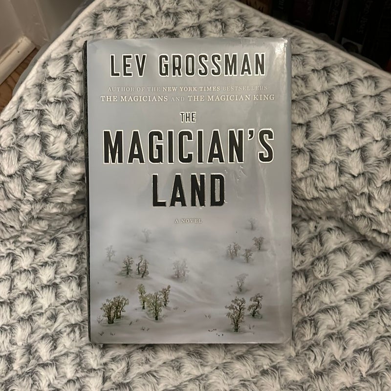 The Magician's Land