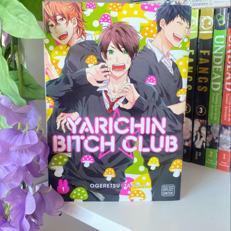 Yarichin Bitch Club, Vol. 1