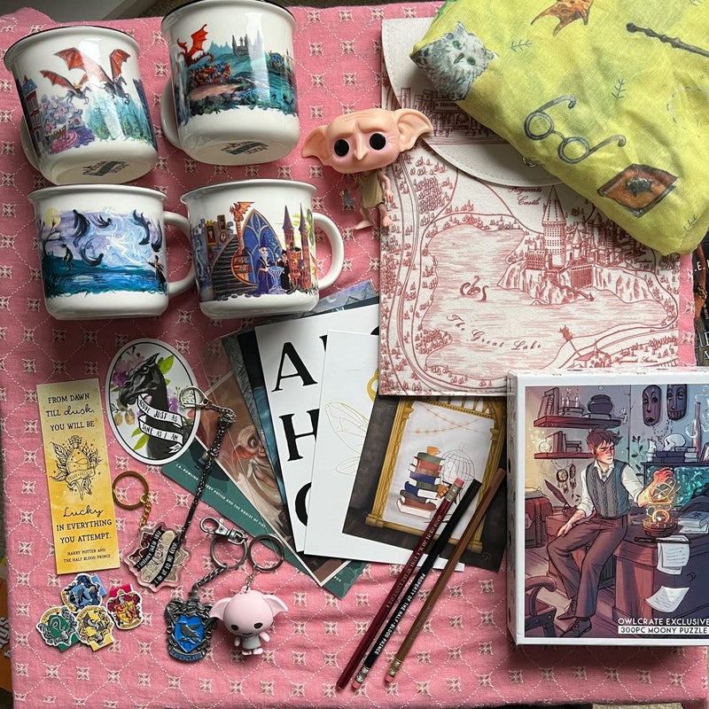 Harry Potter merch bundle