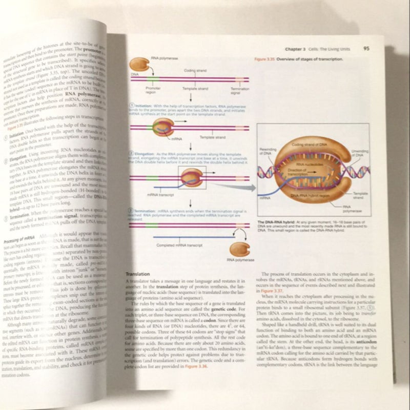 Anatomy and Physiology