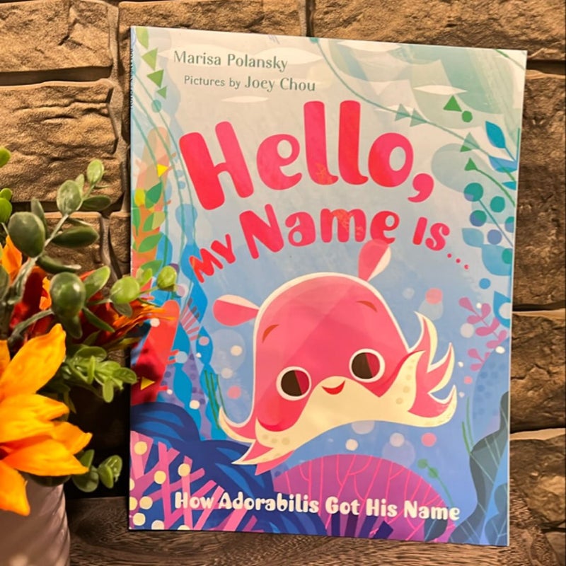 Hello, my name is…