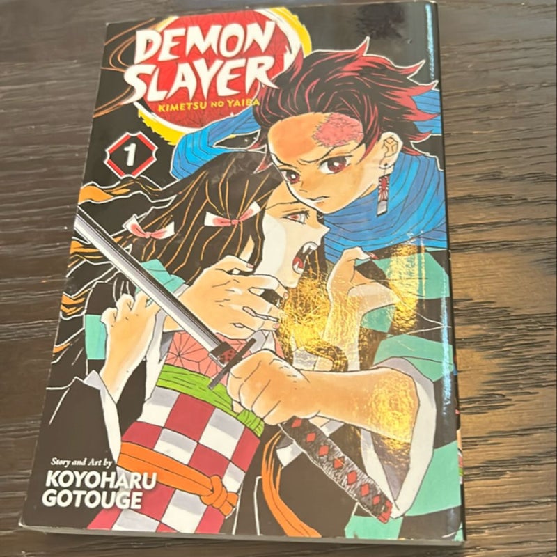 Demon Slayer: Kimetsu No Yaiba, Vol. 1