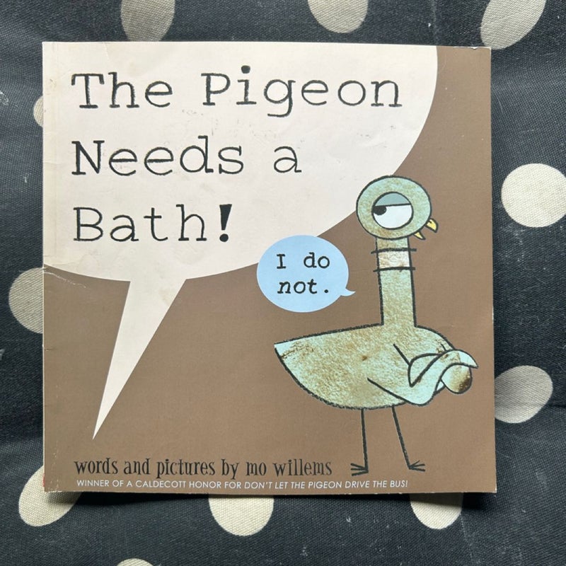 The pigeon needs a bath 