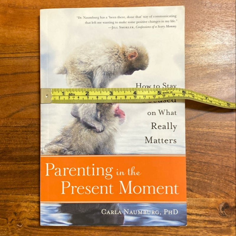 Parenting in the Present Moment