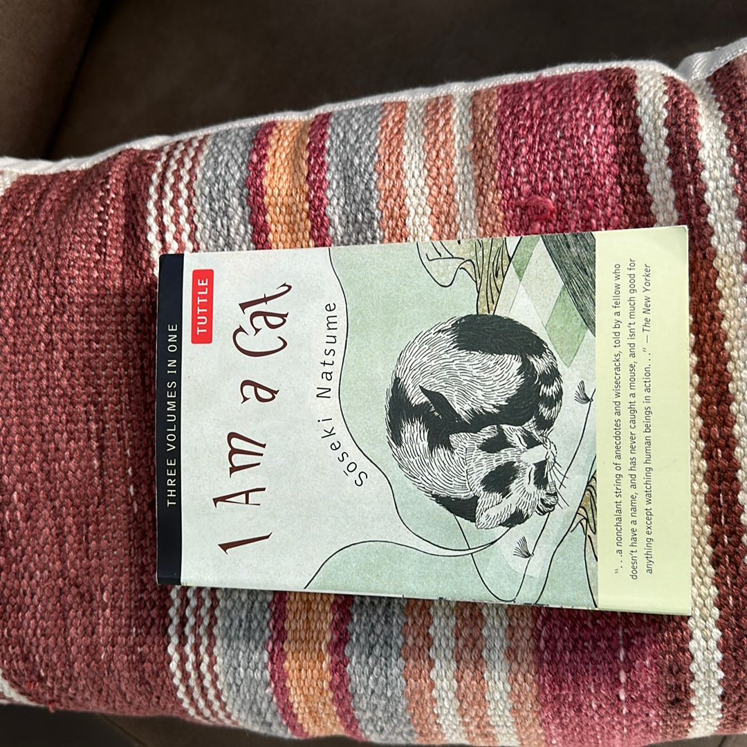 Sale image for 4653f563-b812-4e91-8adc-e52eaea77d59-MBqU8oukl8T9hNu1UP2op3HVVTO2