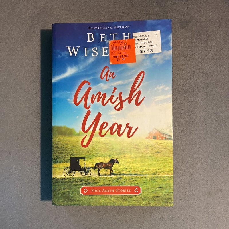 An Amish Year