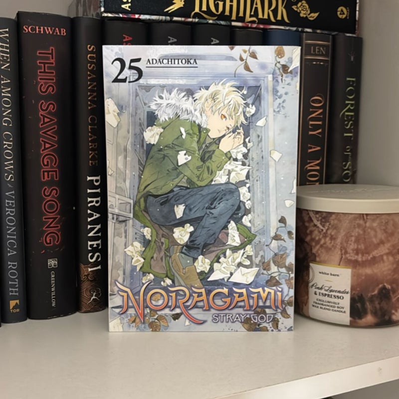 Noragami: Stray God 25