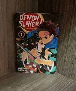 Demon Slayer: Kimetsu No Yaiba, Vol. 1