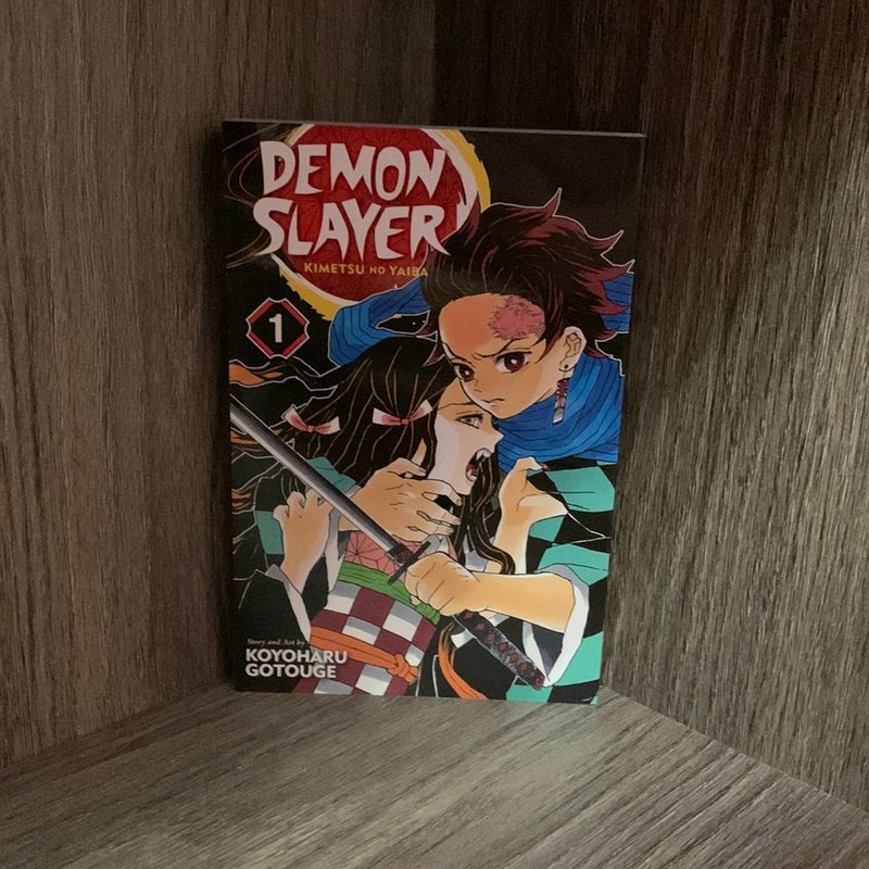 Demon Slayer: Kimetsu No Yaiba, Vol. 1