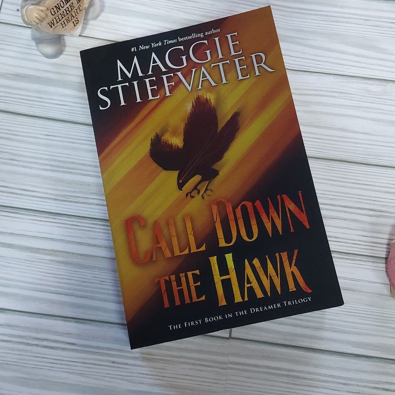 Call down the Hawk (the Dreamer Trilogy, Book 1)