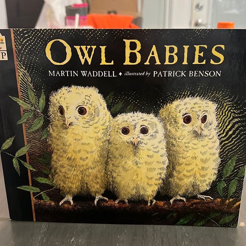 Owl babies by Martin Waddell, Paperback | Pangobooks