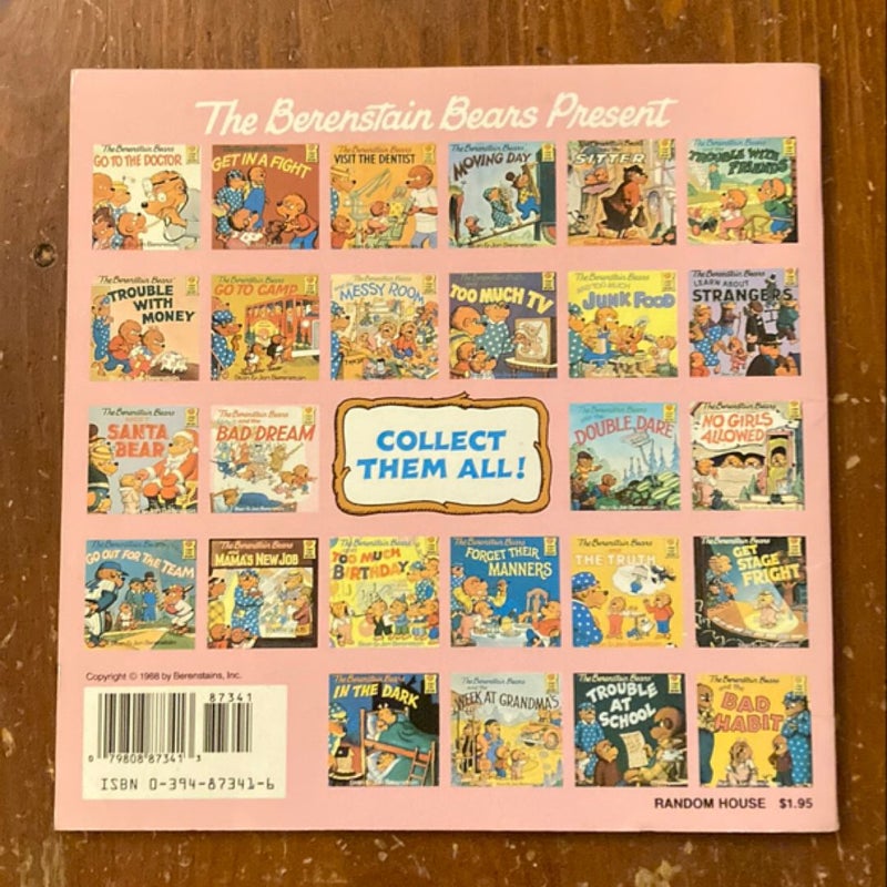 The Berenstain Bears and the Bad Dream