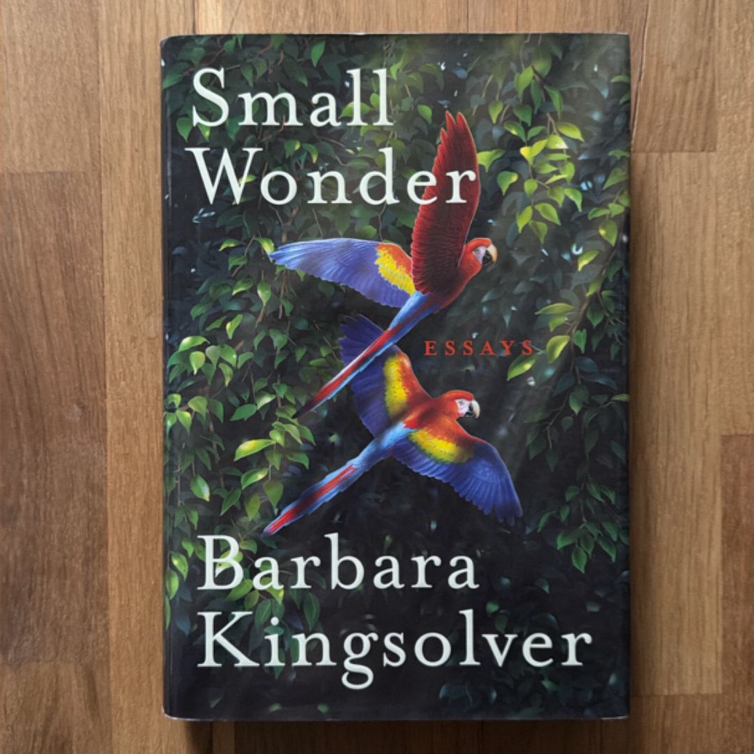 Small Wonder (FIRST EDITION)