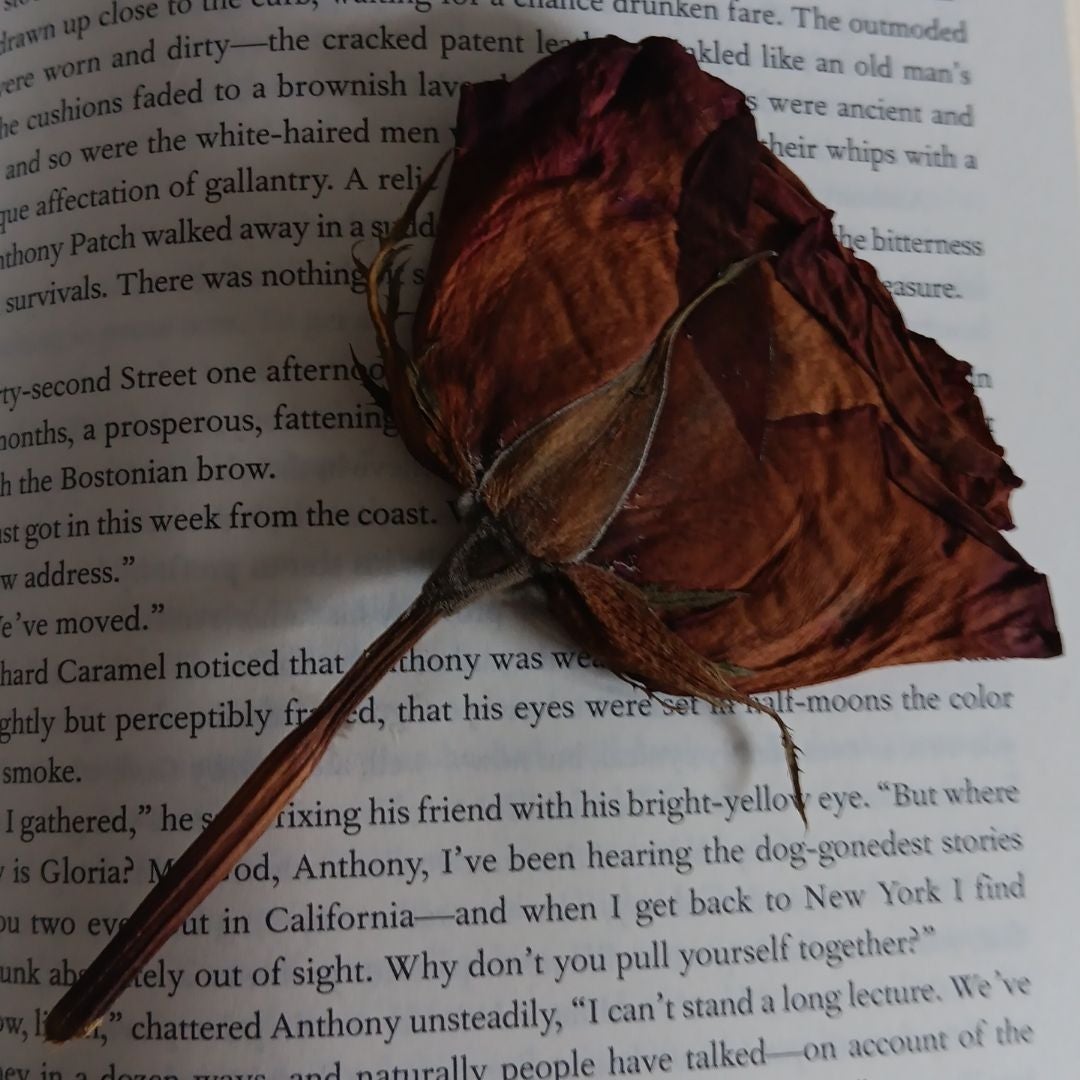 ByrdBooks