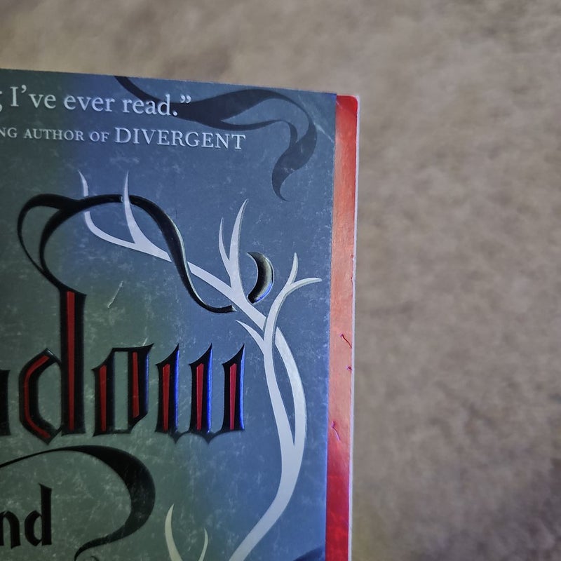 Shadow and Bone