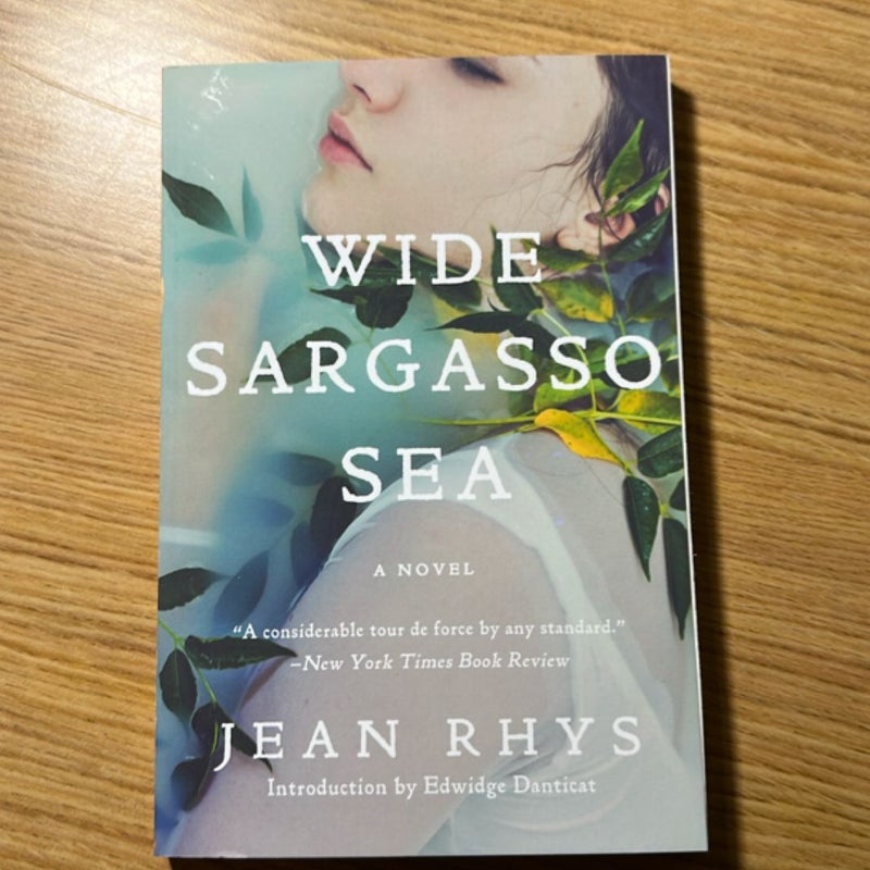 Wide Sargasso Sea
