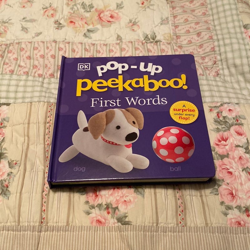 Pop-Up Peekaboo: First Words