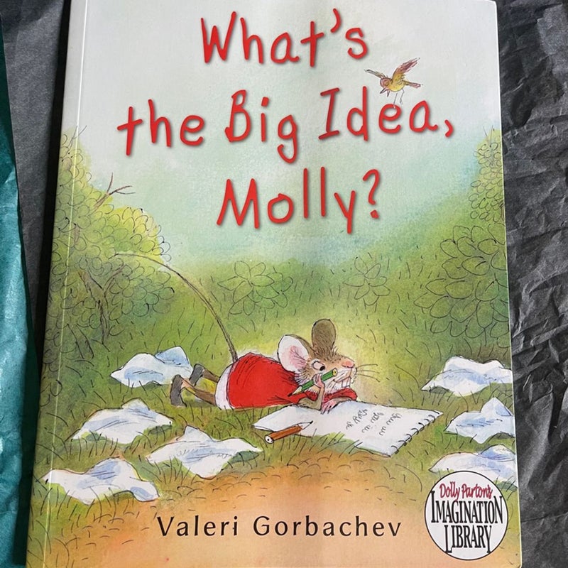 What’s the big idea, Molly