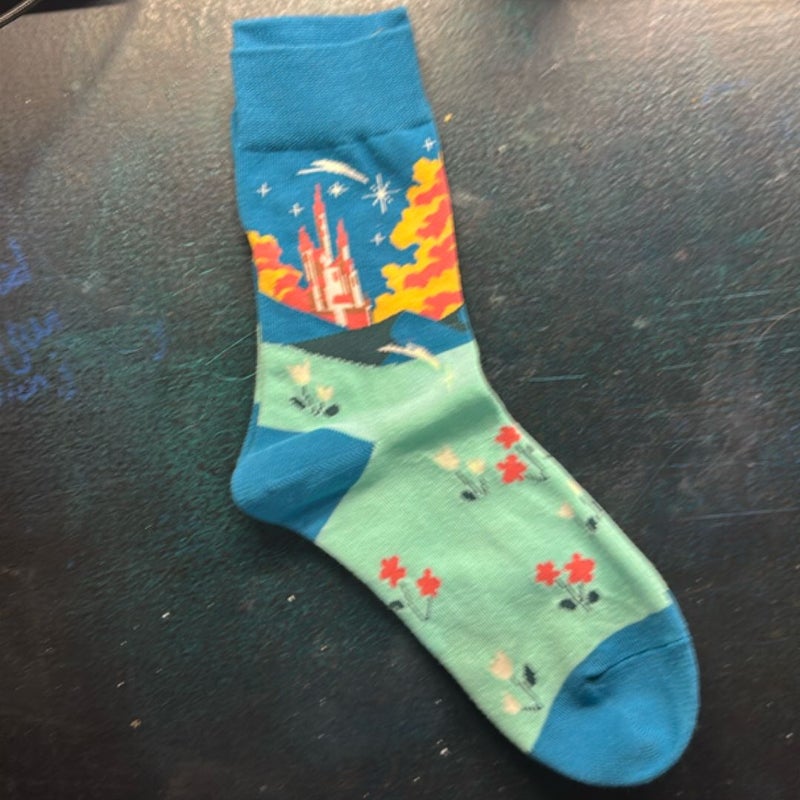 Fairyloot Socks (Howl’s Moving Castle)