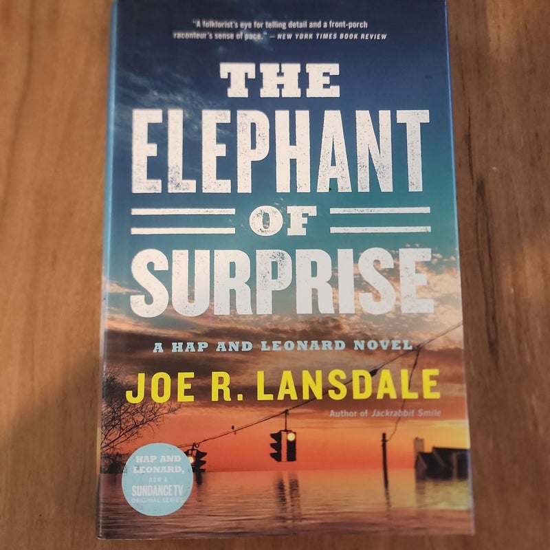 The Elephant of Surprise