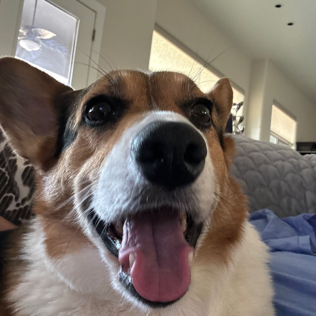 Aidan’s Manga Shop