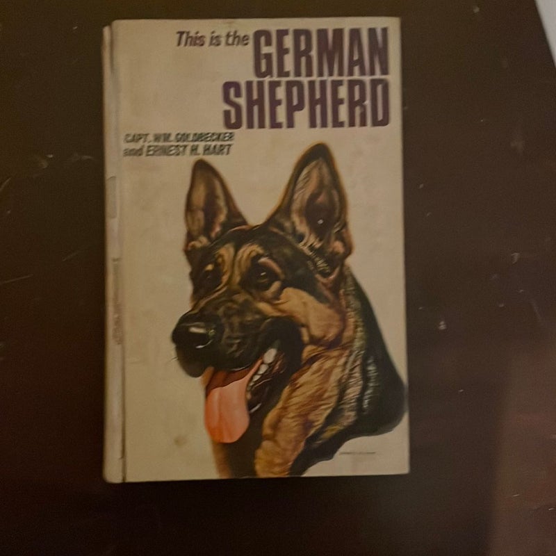 This is the German Shepherd