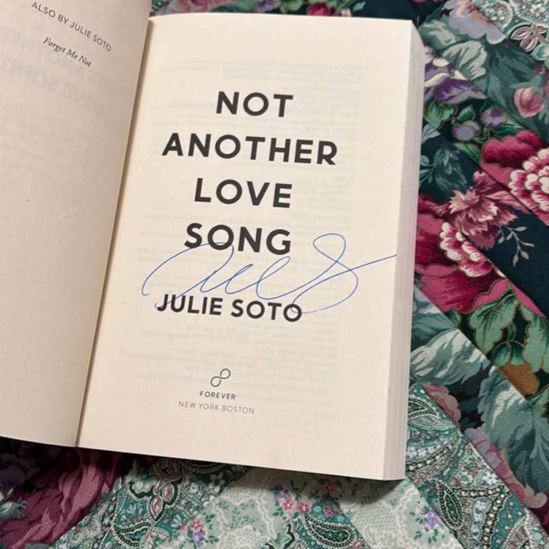 Not Another Love Song