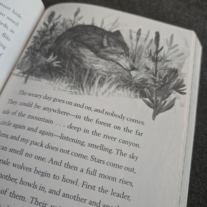 A Wolf Called Wander